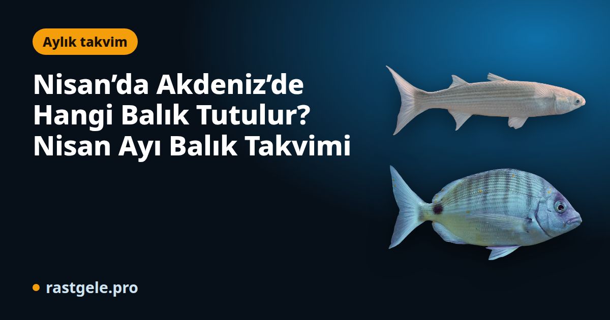 Nisan’da Akdeniz’de Hangi Balık Tutulur? Nisan Ayı Balık Takvimi