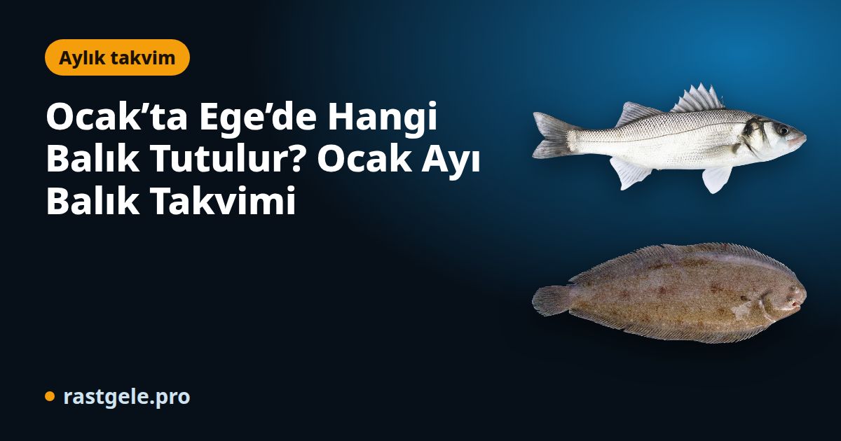 Ocak’ta Ege’de Hangi Balık Tutulur? Ocak Ayı Balık Takvimi