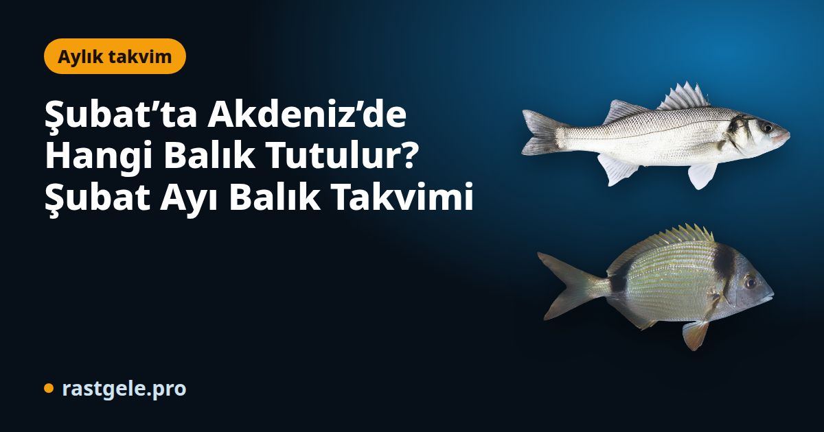 Şubat’ta Akdeniz’de Hangi Balık Tutulur? Şubat Ayı Balık Takvimi