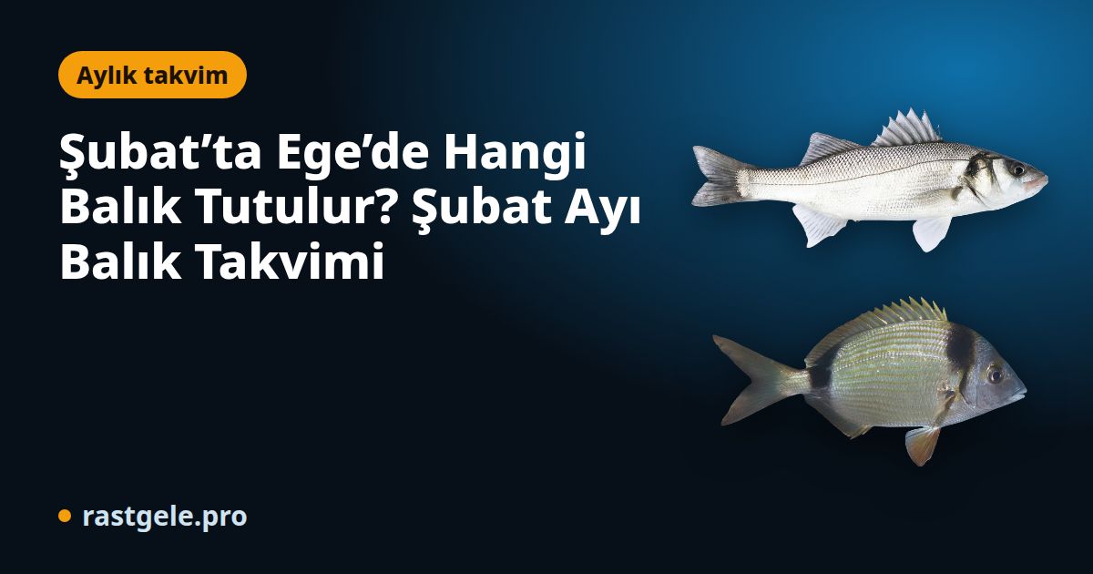 Şubat’ta Ege’de Hangi Balık Tutulur? Şubat Ayı Balık Takvimi