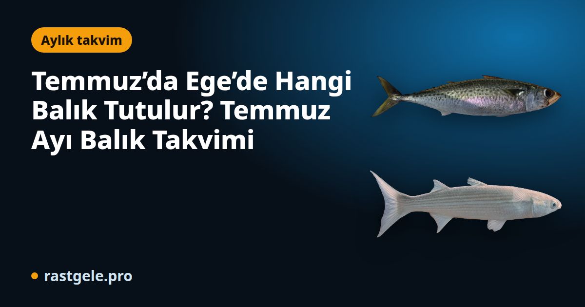 Temmuz’da Ege’de Hangi Balık Tutulur? Temmuz Ayı Balık Takvimi