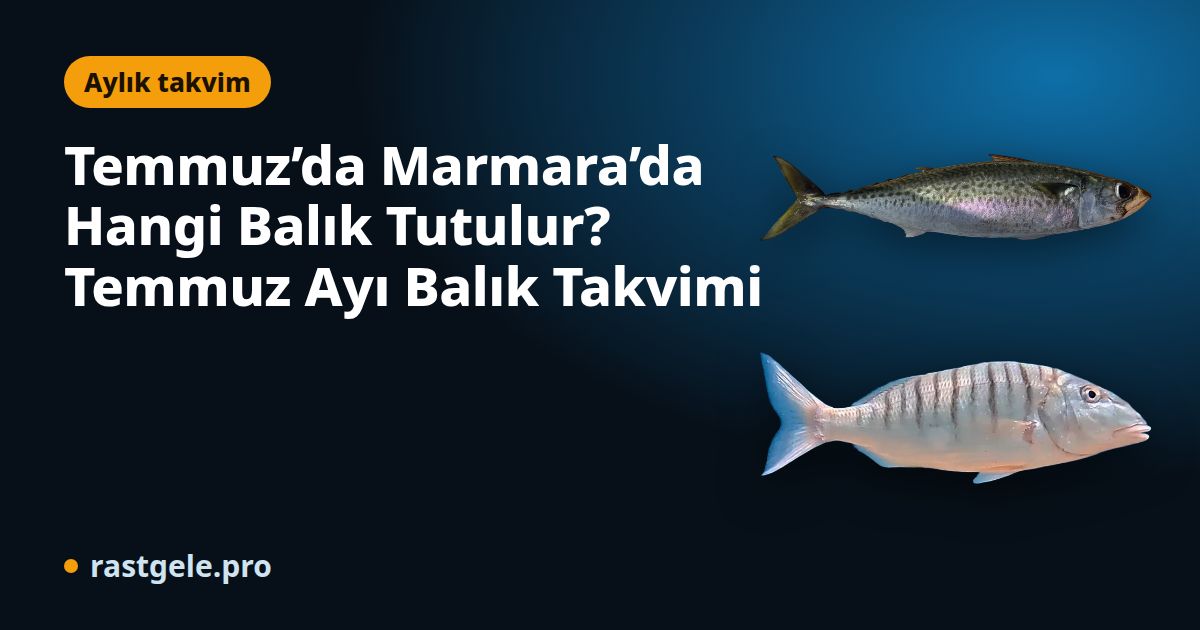 Temmuz’da Marmara’da Hangi Balık Tutulur? Temmuz Ayı Balık Takvimi