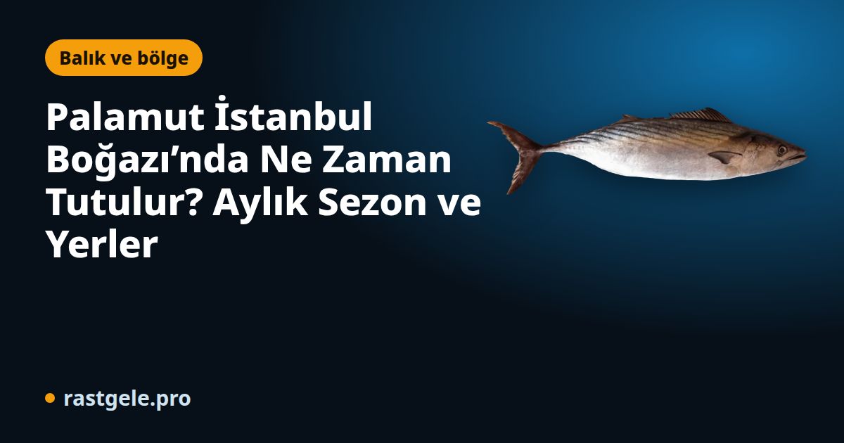 Palamut İstanbul Boğazı’nda Ne Zaman Tutulur? Aylık Sezon ve Yerler