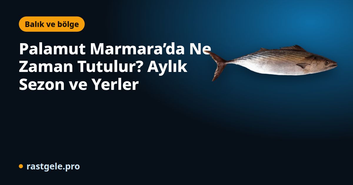 Palamut Marmara’da Ne Zaman Tutulur? Aylık Sezon ve Yerler