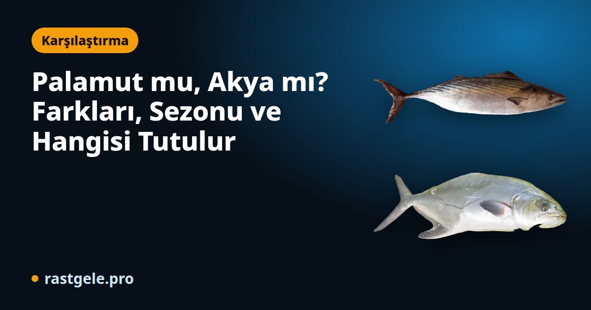 Palamut mu, Akya mı? Farkları, Sezonu ve Hangisi Tutulur