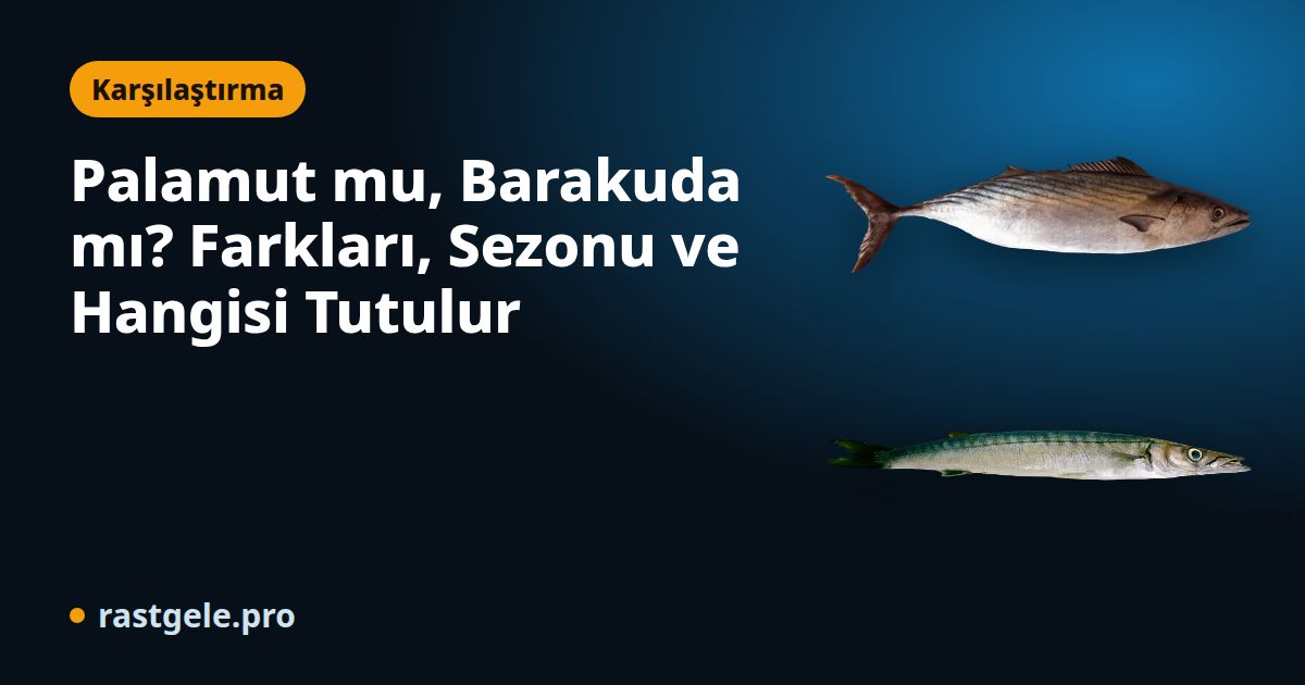 Palamut mu, Barakuda mı? Farkları, Sezonu ve Hangisi Tutulur