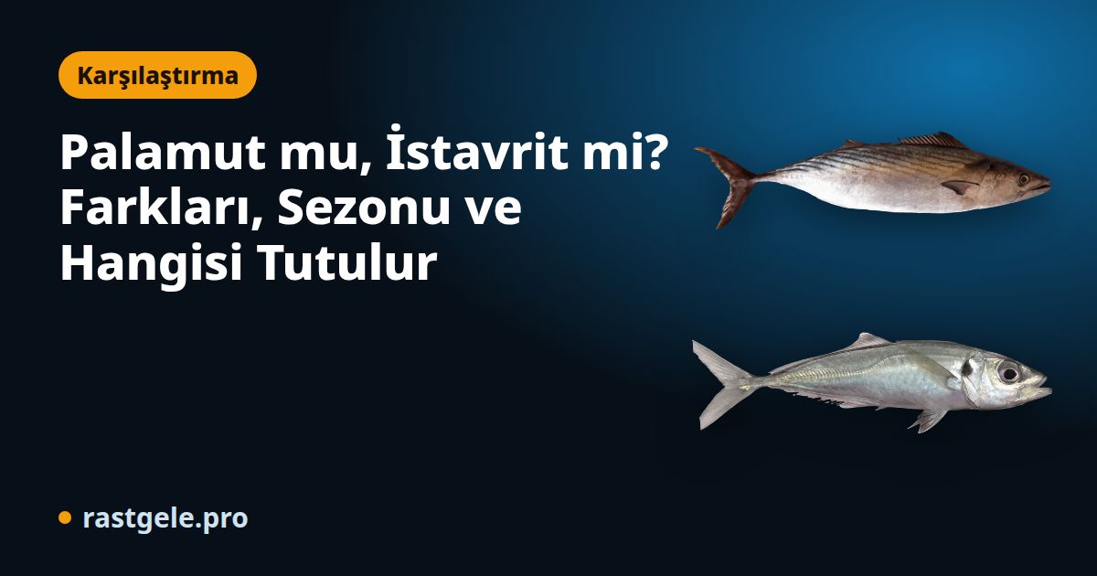 Palamut mu, İstavrit mi? Farkları, Sezonu ve Hangisi Tutulur