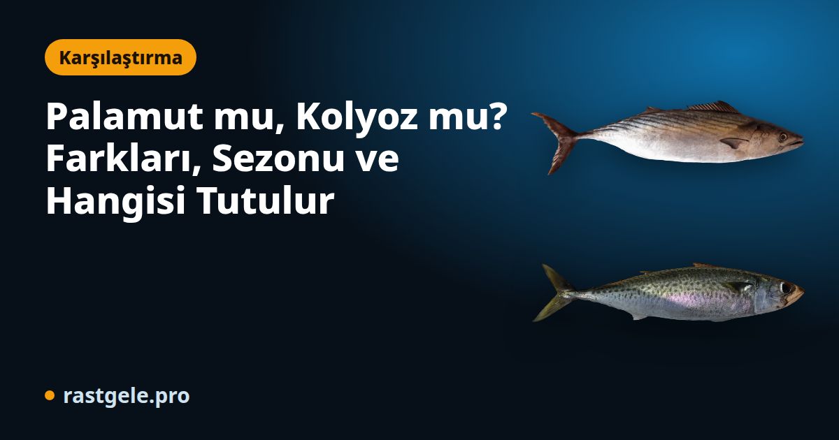 Palamut mu, Kolyoz mu? Farkları, Sezonu ve Hangisi Tutulur