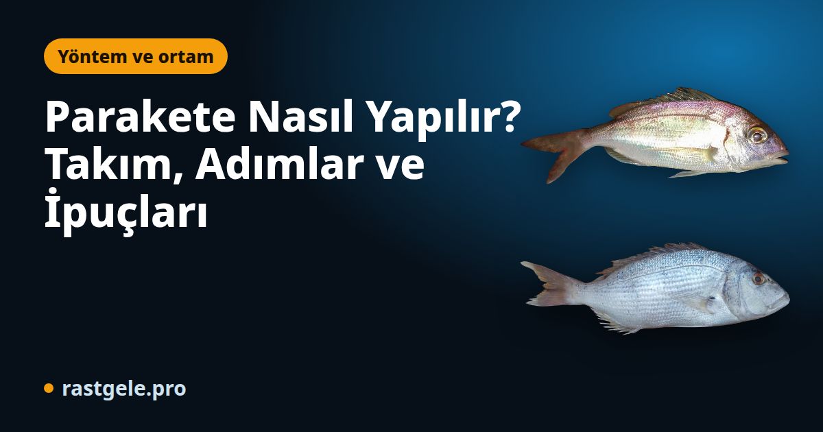 Parakete Nasıl Yapılır? Takım, Adımlar ve İpuçları