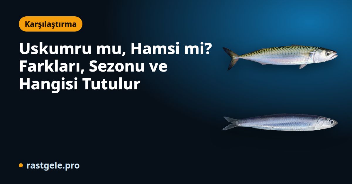 Uskumru mu, Hamsi mi? Farkları, Sezonu ve Hangisi Tutulur